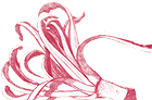 Festa del Radicchio 2026