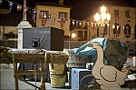 207TS11ZOGO_A050.jpg